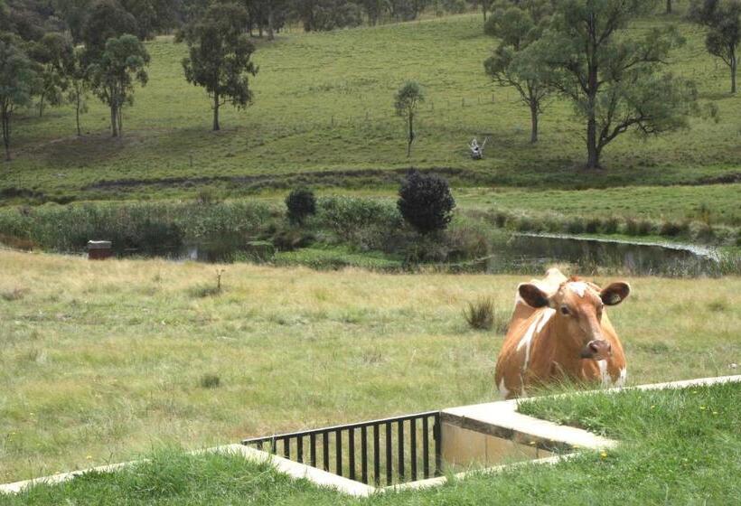住宿加早餐  Donegal Farmstay