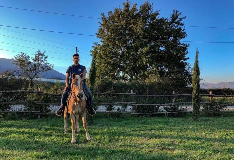 مبيت وإفطار La Tenuta Del Campo Di Sopra