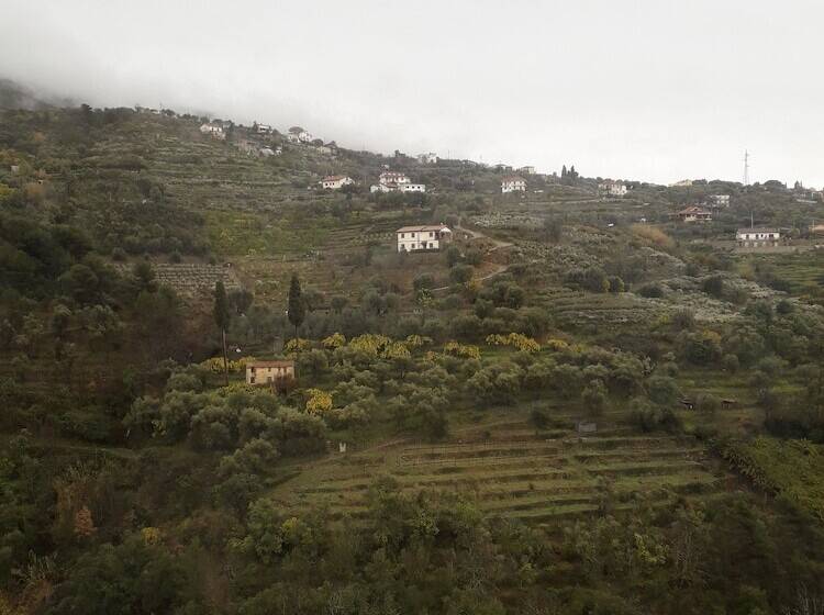 تختخواب و صبحانه O Recanto