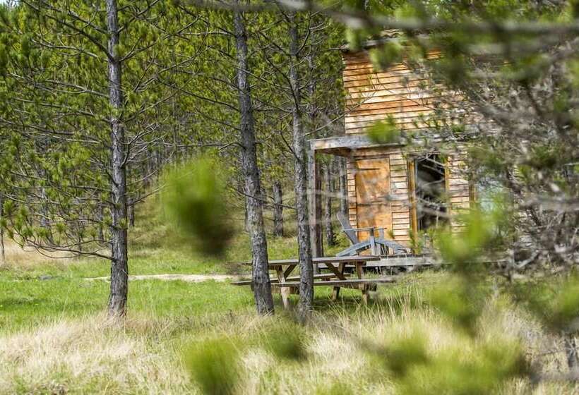 住宿加早餐  Terre Des Baronnies. Cabanes