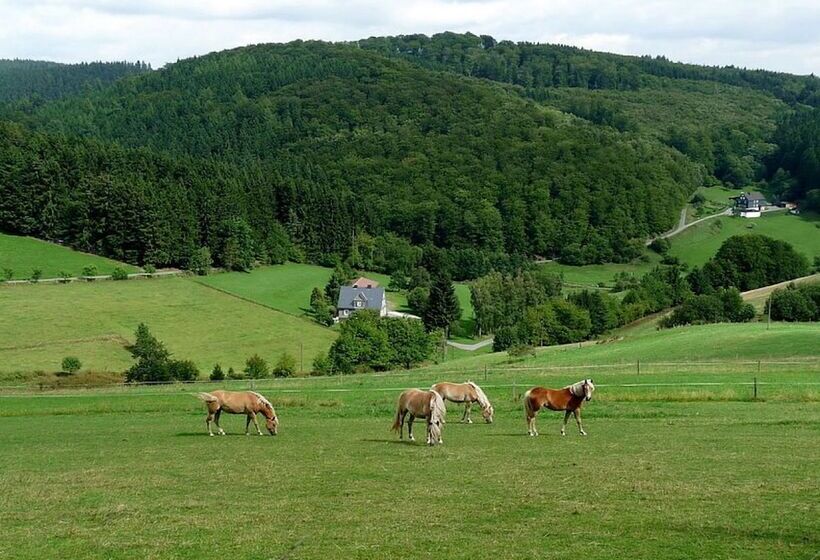 بنسيون Ferienhaus & Nurdachhaus Rothaargebirge