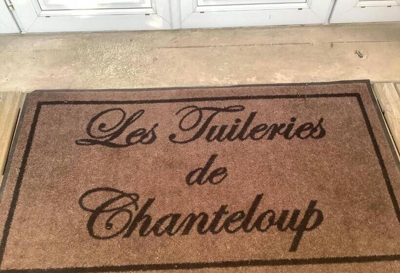 펜션 Les Tuileries De Chanteloup