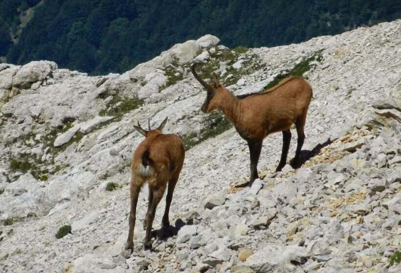 بنسيون Residence La Casa Di Vittorio