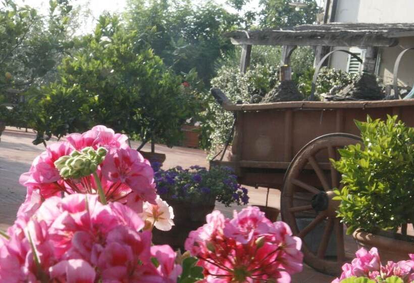 فندق Locanda Le Boscarecce