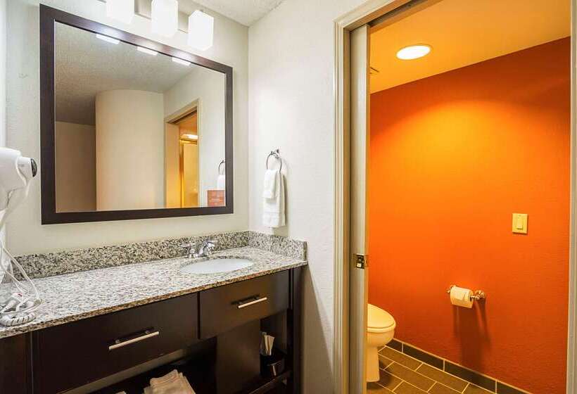 酒店 Sleep Inn & Suites
