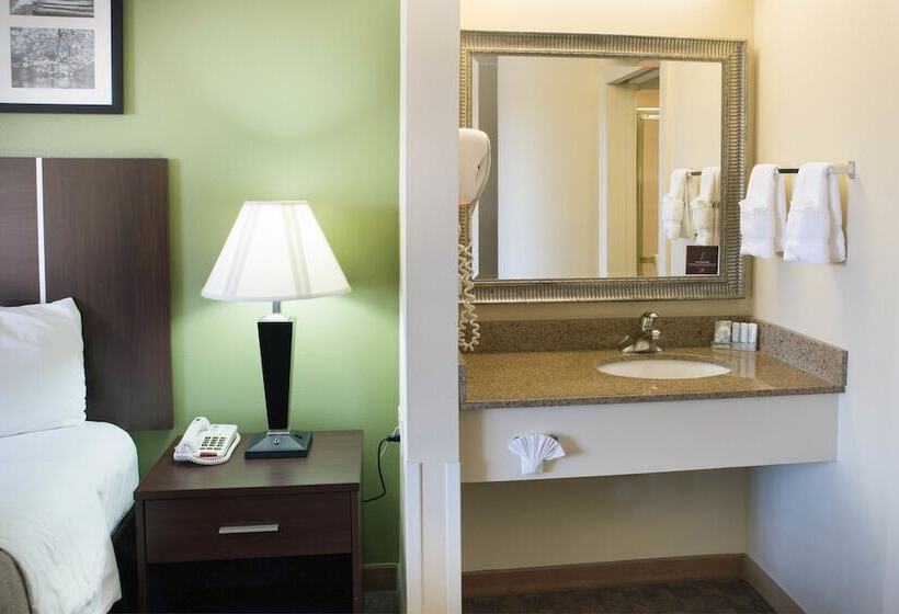 هتل Sleep Inn Asheville  Biltmore West