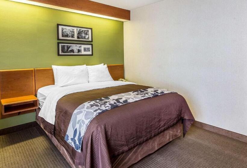 هتل Sleep Inn & Suites Bay View Acme   Traverse City