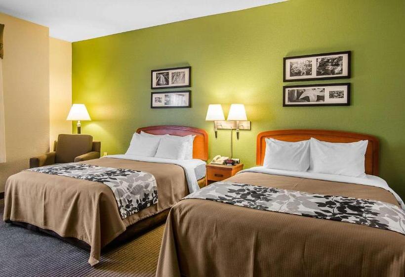 ホテル Sleep Inn & Suites Danville Hwy 58