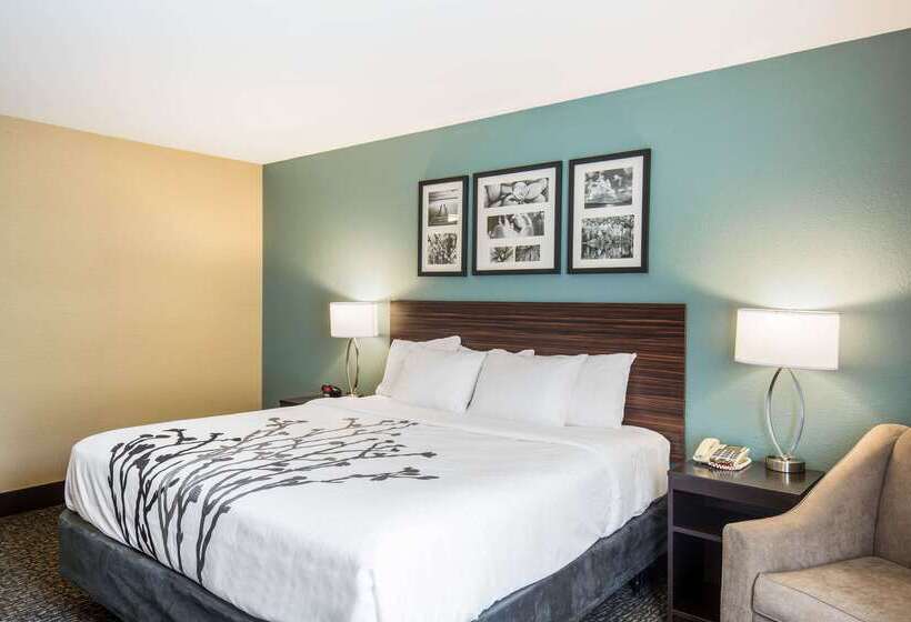 ホテル Sleep Inn & Suites