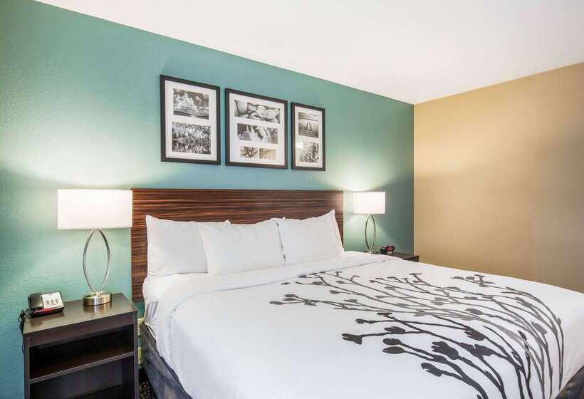 ホテル Sleep Inn & Suites