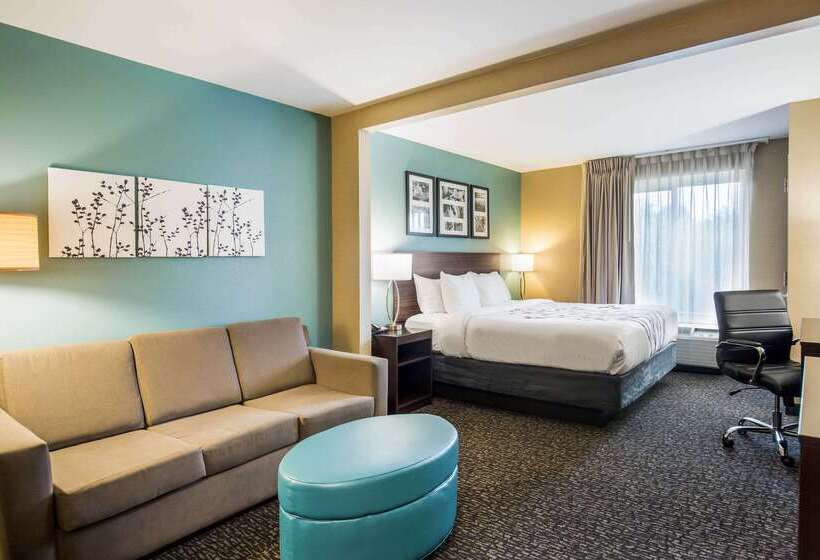 ホテル Sleep Inn & Suites