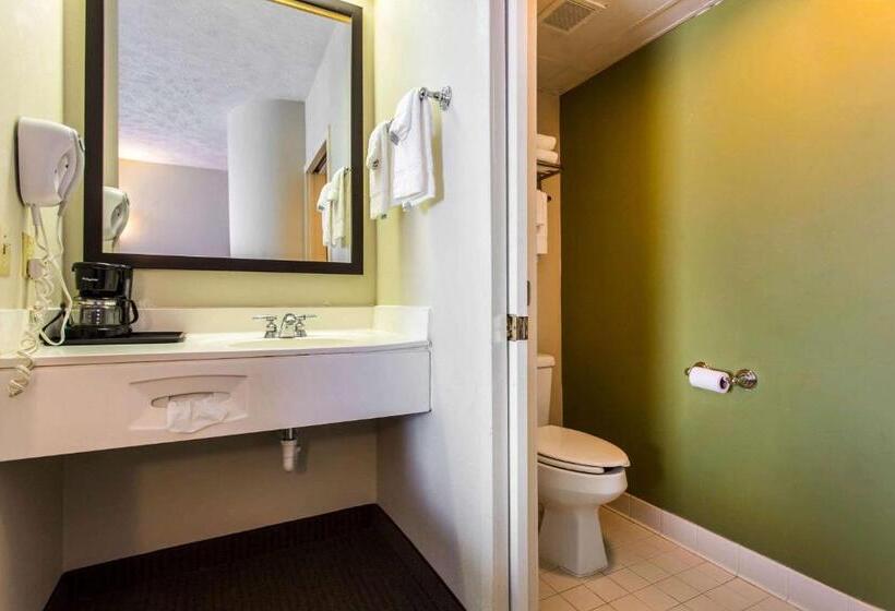 فندق Surestay By Best Western Summerville Flowertown