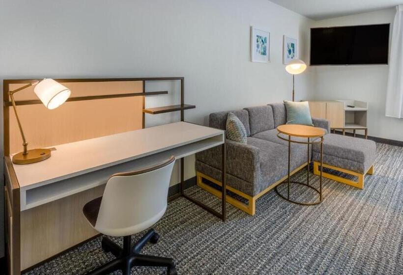 בית מלון כפרי Towneplace Suites New Orleans Metairie