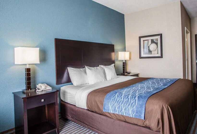 מוטל Comfort Inn Lees Summit   Hwy 50 & Hwy 291