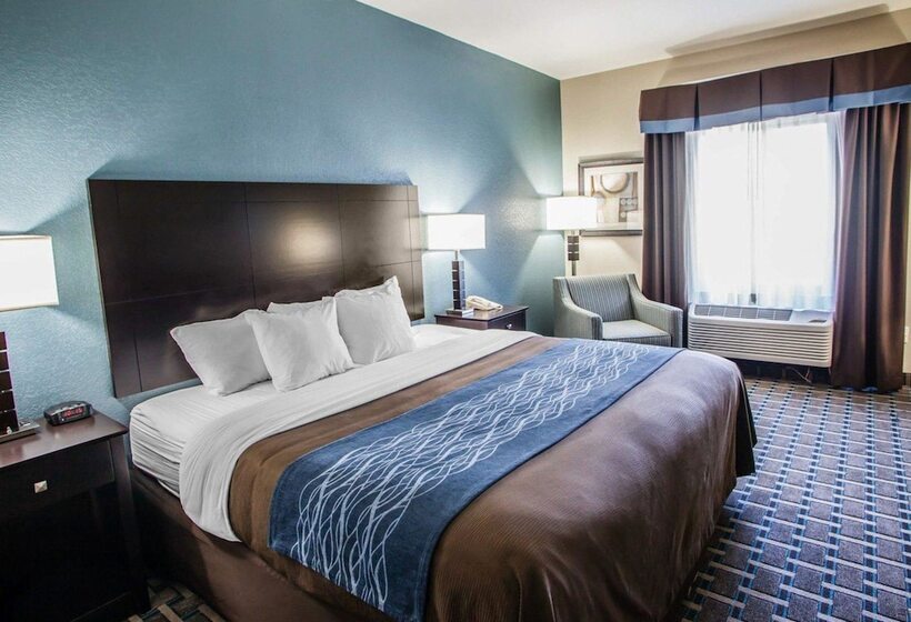 מוטל Comfort Inn Lees Summit   Hwy 50 & Hwy 291