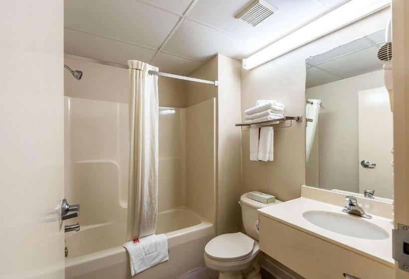 汽车旅馆  Econo Lodge Inn & Suites