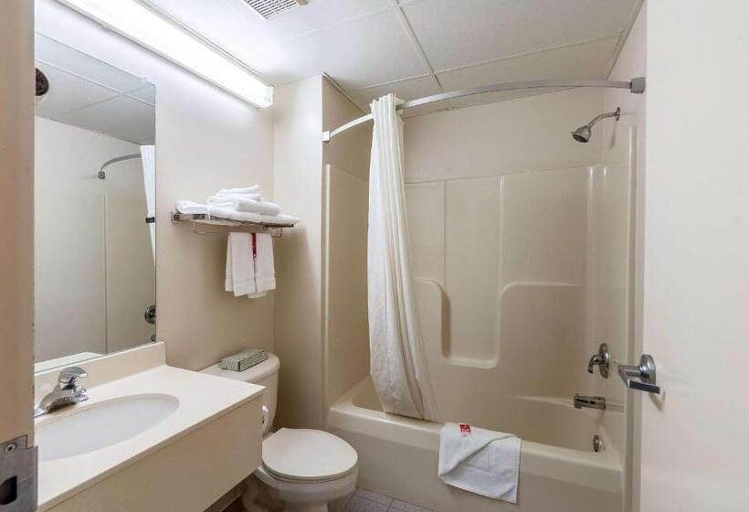 汽车旅馆  Econo Lodge Inn & Suites