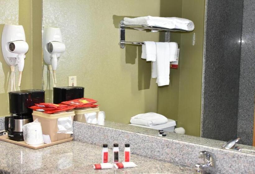 모텔 Econo Lodge Beaumont I 10 South