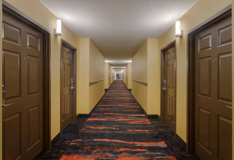 모텔 Super 8 By Wyndham Olive Branch