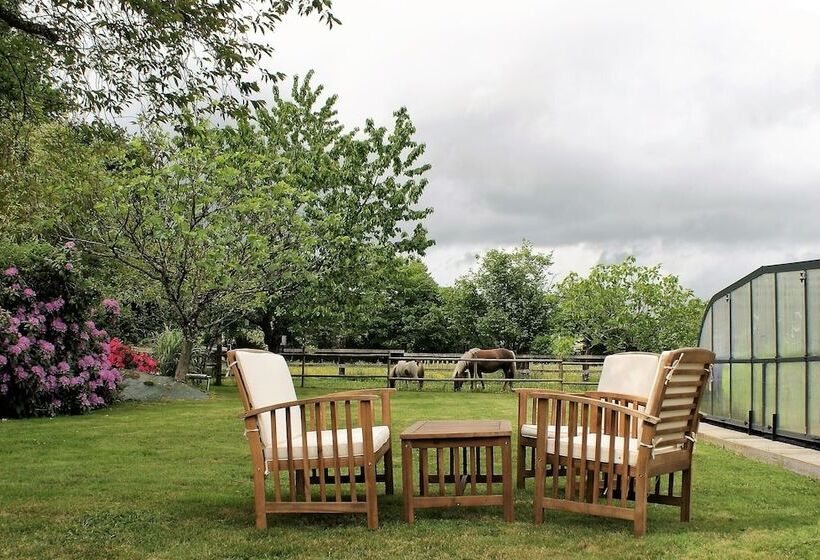 Bed and Breakfast Aux Agapanthes