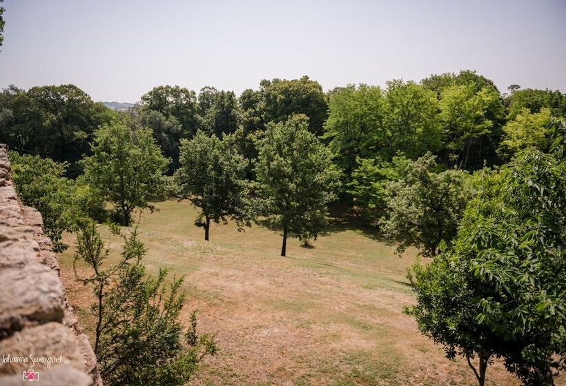 ベッドアンドブレックファースト Château De L Hers