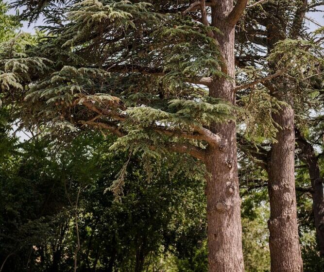 ベッドアンドブレックファースト Château De L Hers