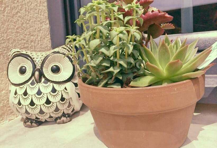 민박 La Ferme D Antan