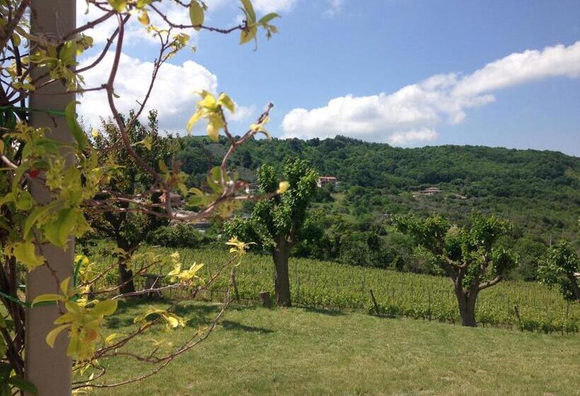 بنسيون Bed & Wine Rocco Zambri