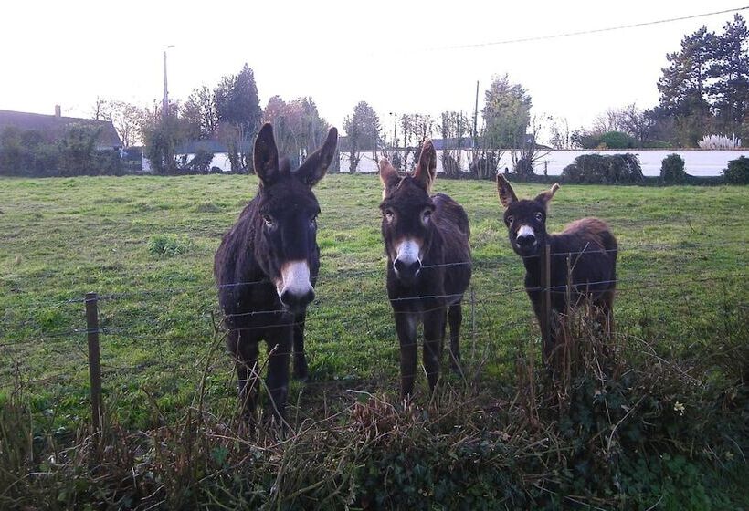 膳宿费 Chambres D Hotes   La Ferme De Tigny