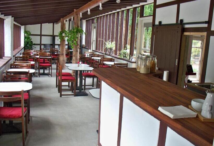 پانسیون Danninghus