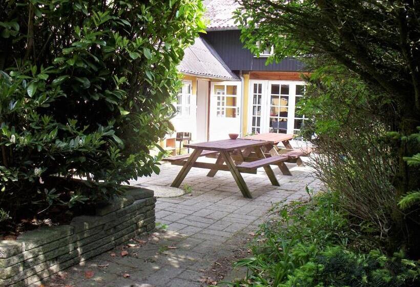 پانسیون Danninghus