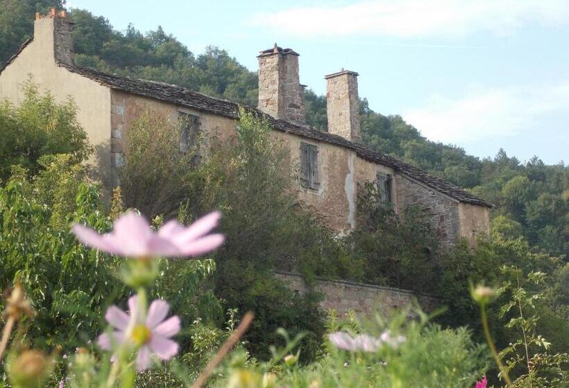 膳宿费 Le Cintrium