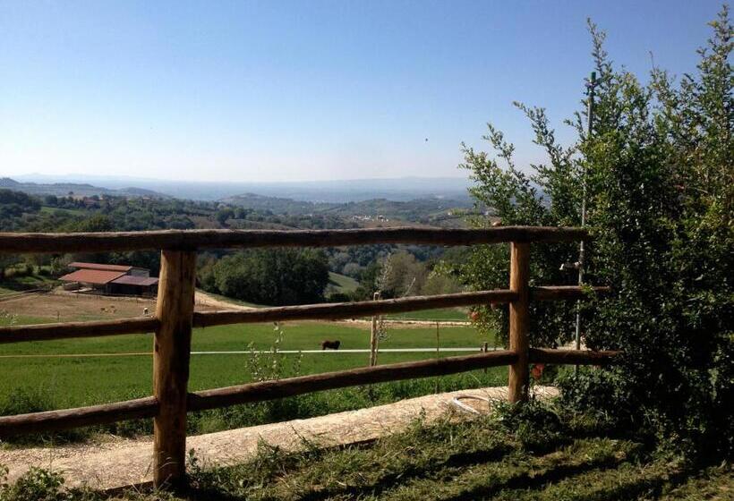 Tenuta San Savino Delle Rocchette