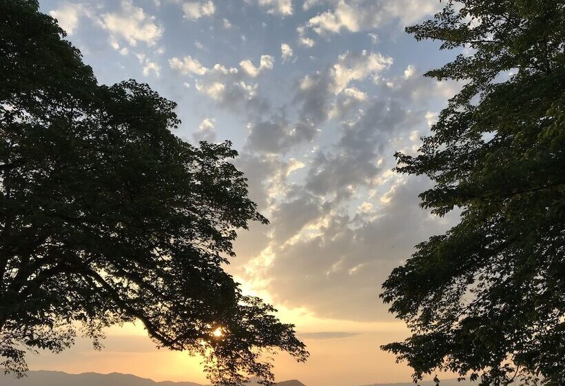 Asuka Guest House   Hostel