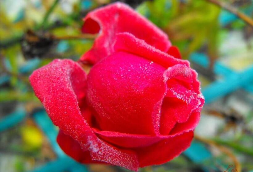 住宿加早餐  L écrin De Pradou Glas