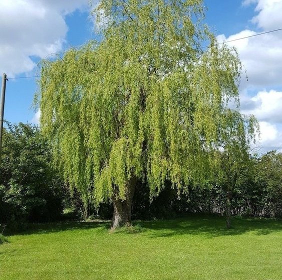 Bed and Breakfast Les Babylones