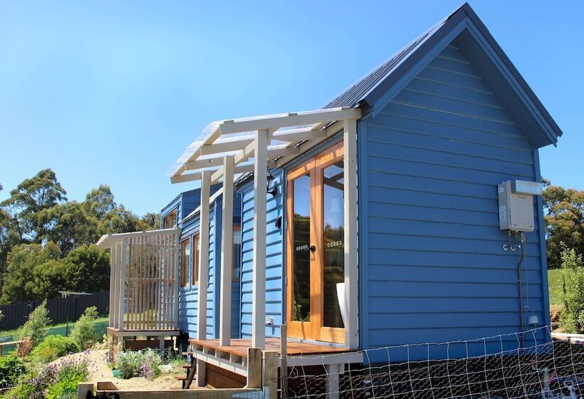 Compass Hut