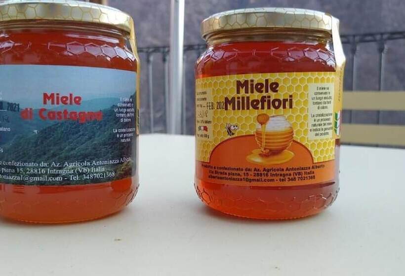 فندق فئة نجمة واحدة Ostello Val Grande
