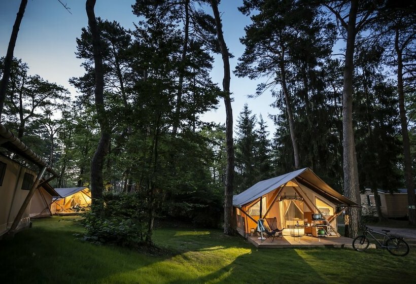 هتل Camping La Pinède