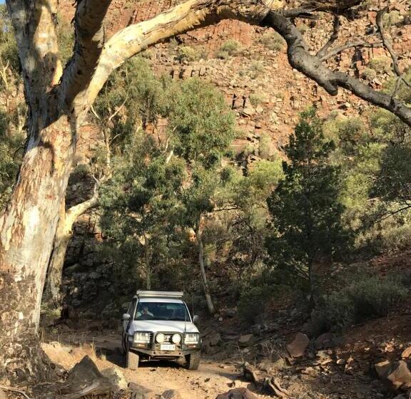 منتجع Bendleby Ranges