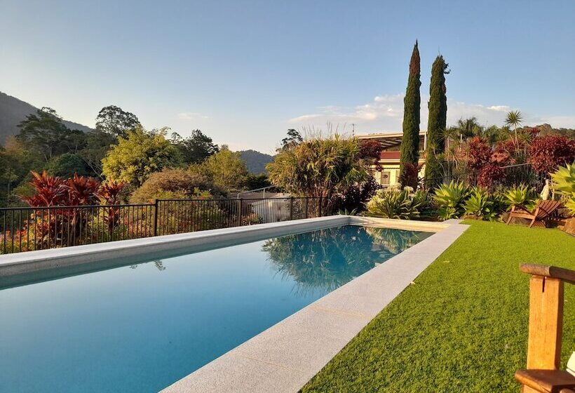 A View Of Mt Warning B&b