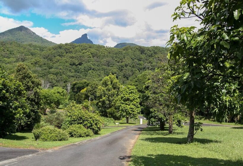 A View Of Mt Warning B&b