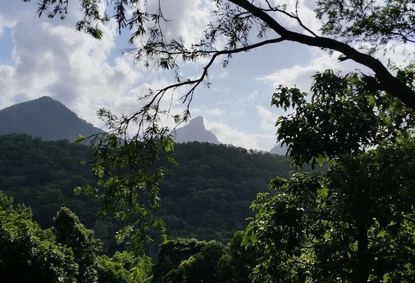 A View Of Mt Warning B&b