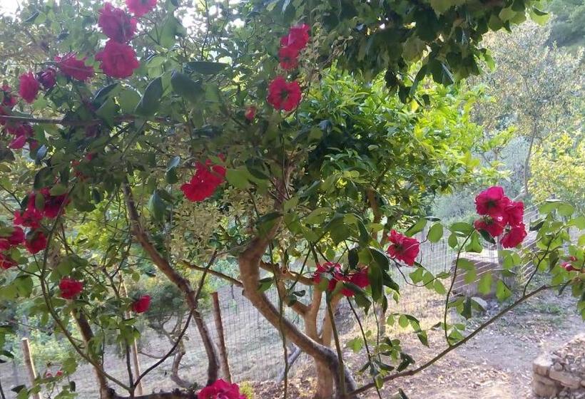 مبيت وإفطار Casale I Cirillo