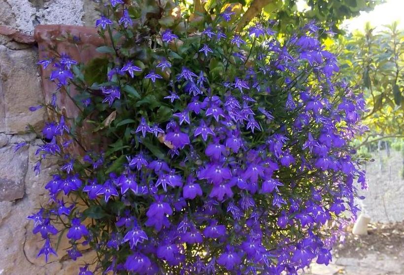 مبيت وإفطار Casale I Cirillo