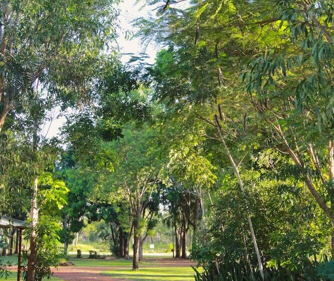 فندق Banyan Tree