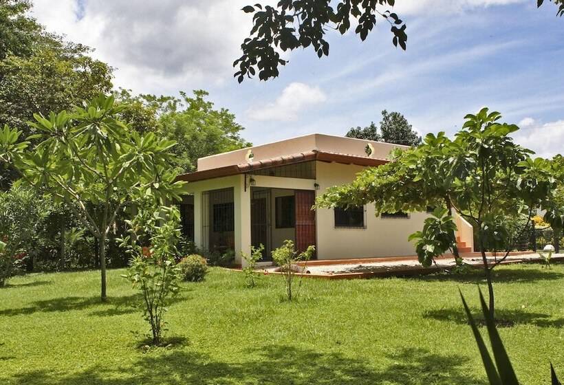 فندق Guacamaya Lodge