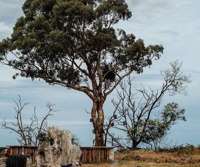 酒店 Lancemore Macedon Ranges