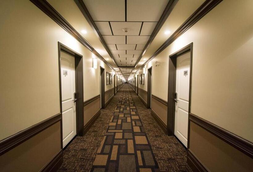فندق Nova Inn Manning