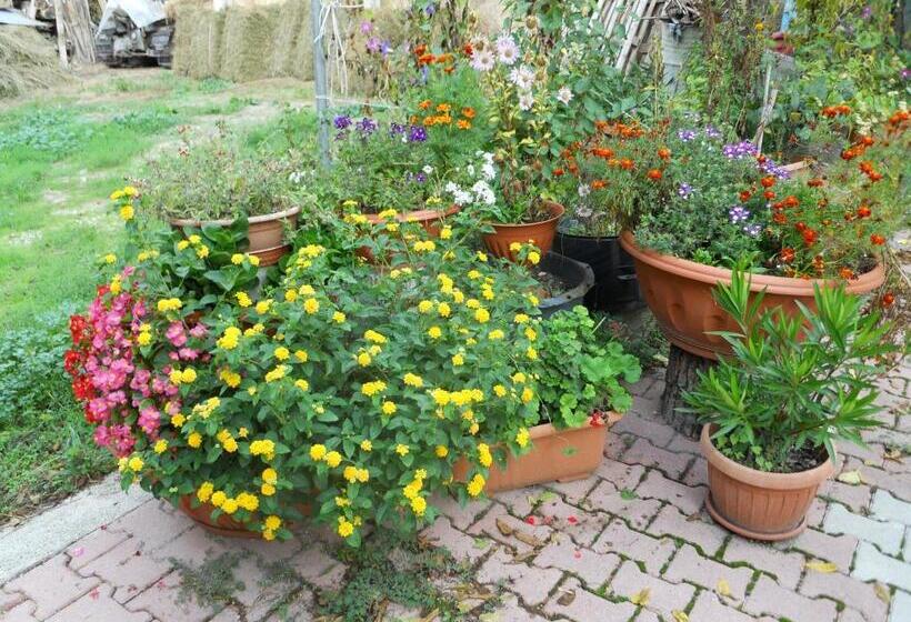 교외 호텔 Agriturismo Monti Sibillini Camperato